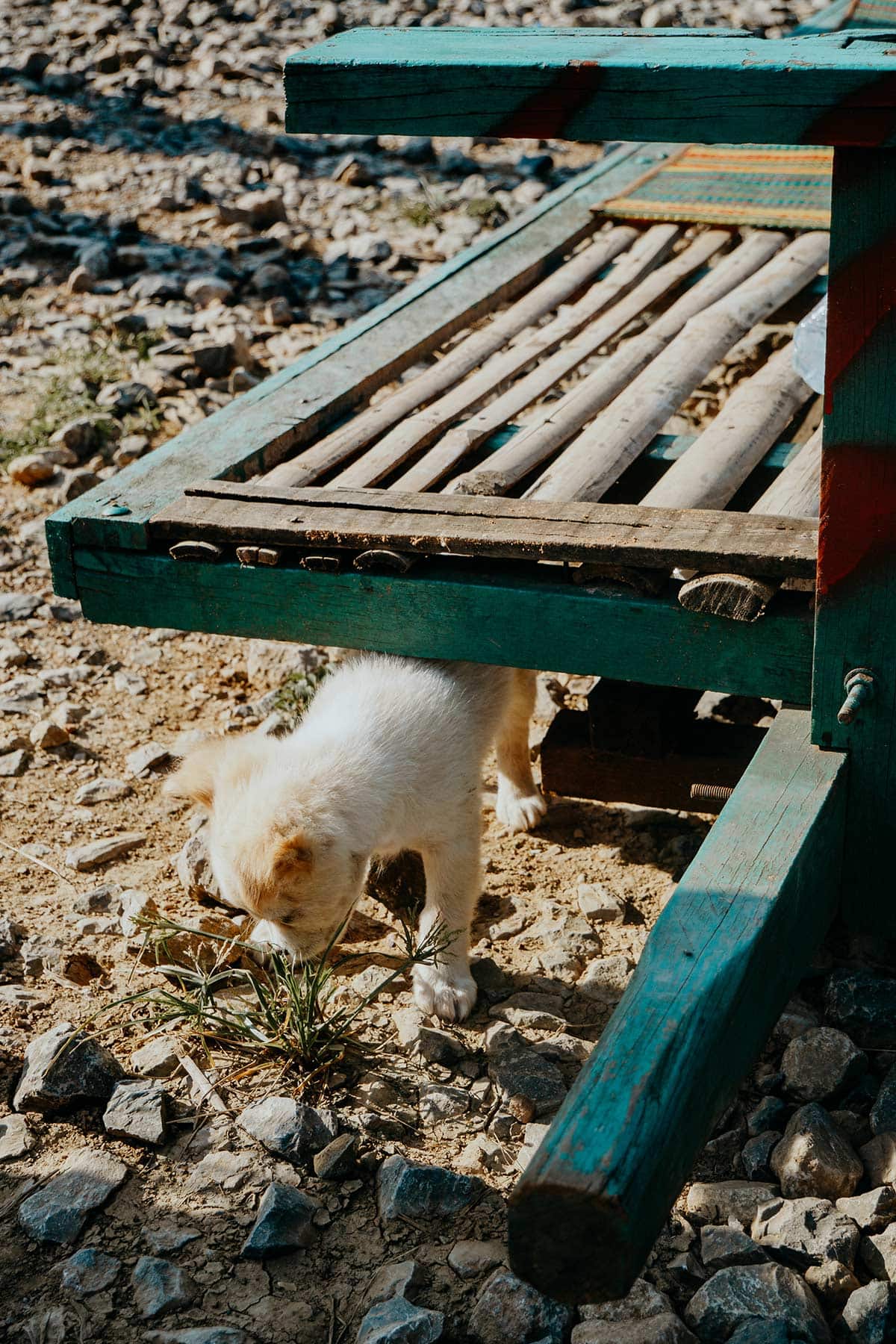 Bamboo train | Things to do in Battambang