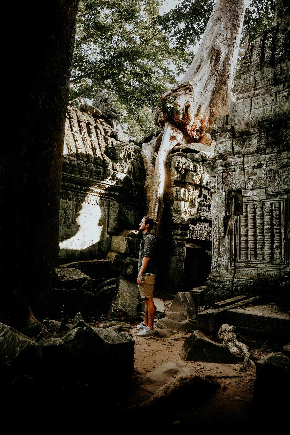 Ta Prohm in Angkor Wat