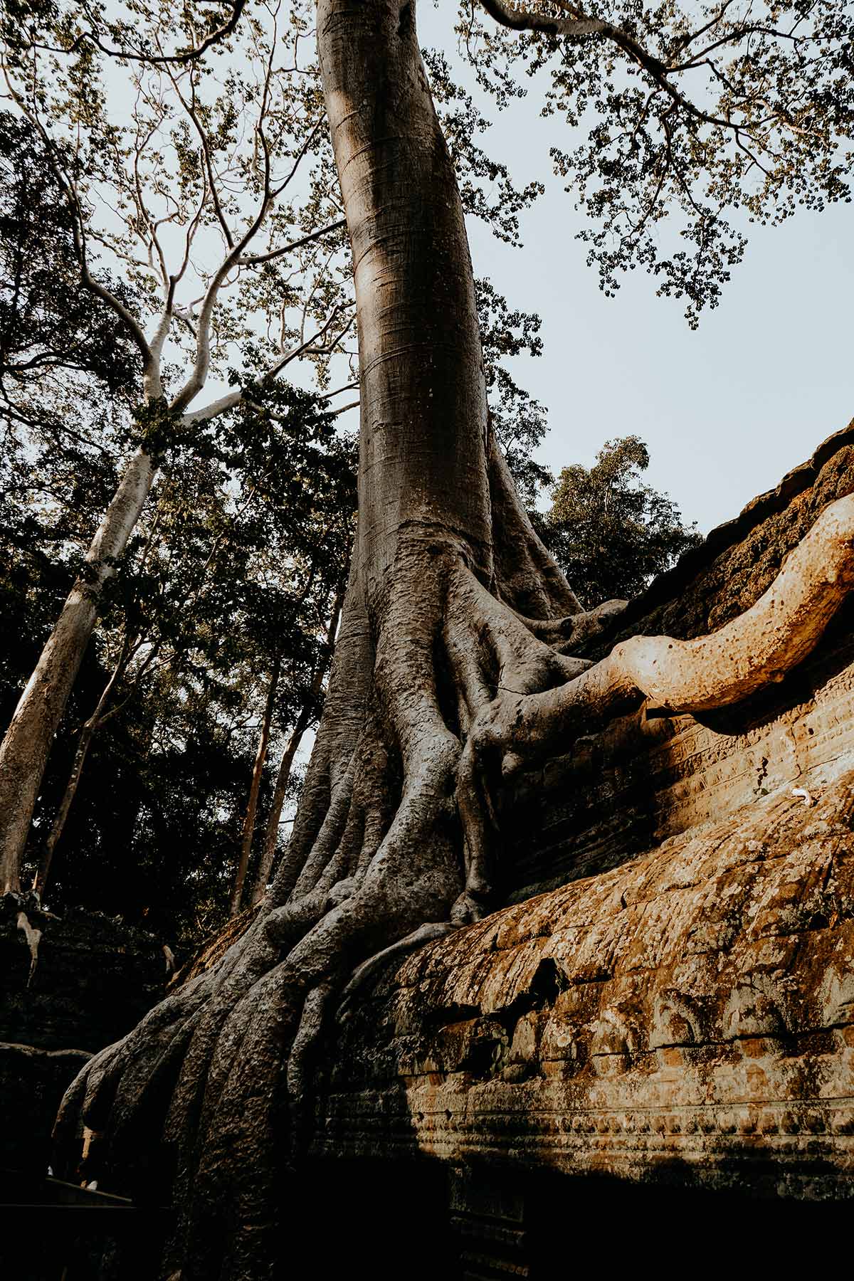 Tomb Raider temple Cambodia