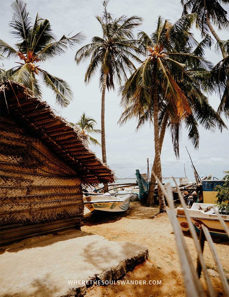 Arugam Bay Sri Lanka | Things to do