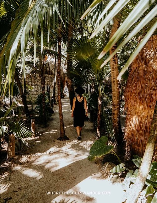 Raw Love Cafe | What to do in Tulum Mexico