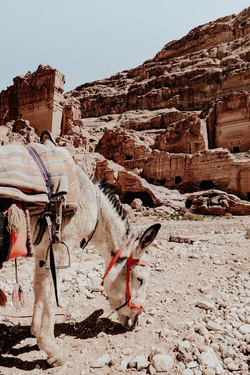 Photos that will inspire you to visit Jordan