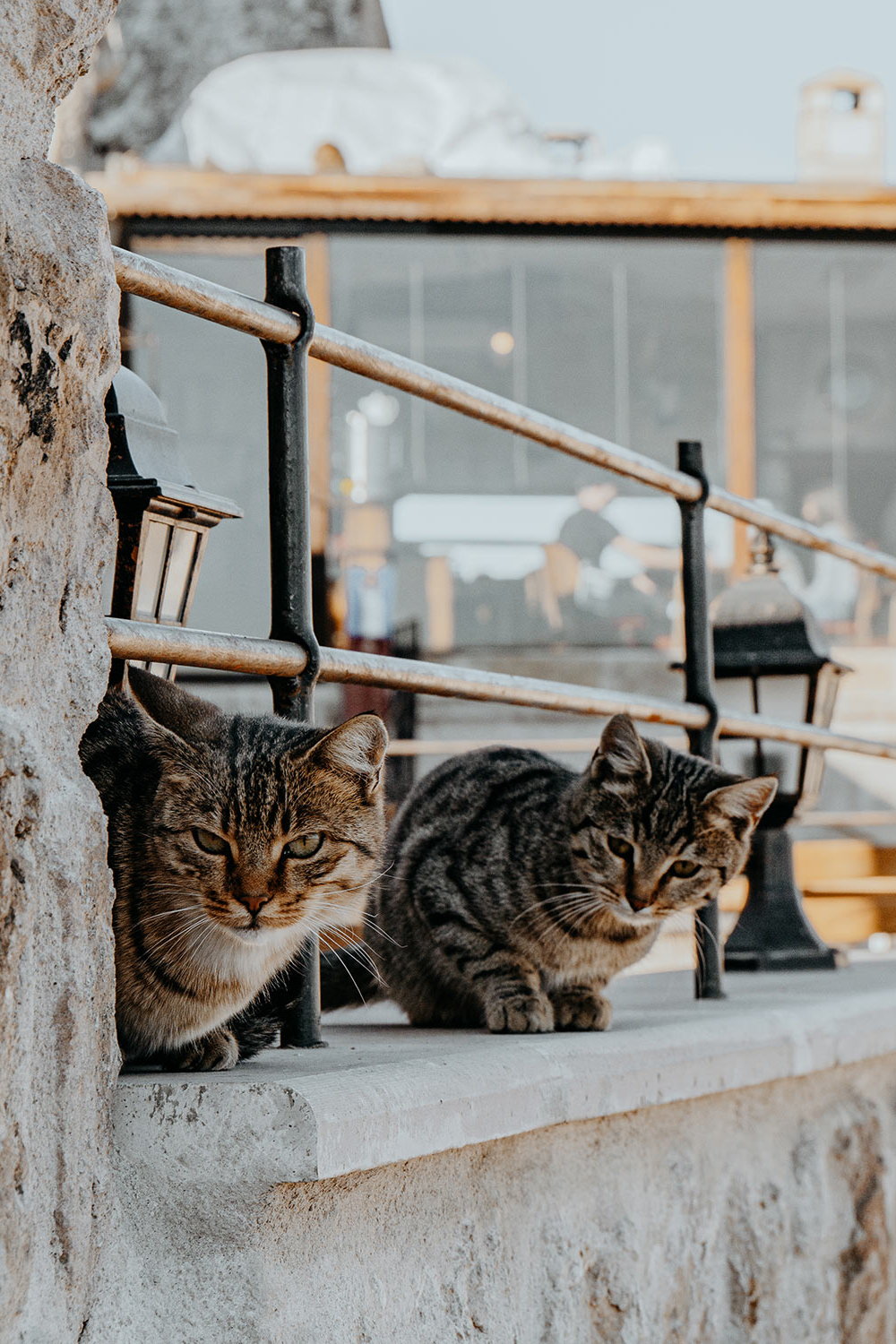 Thing to do in Cappadocia 2024