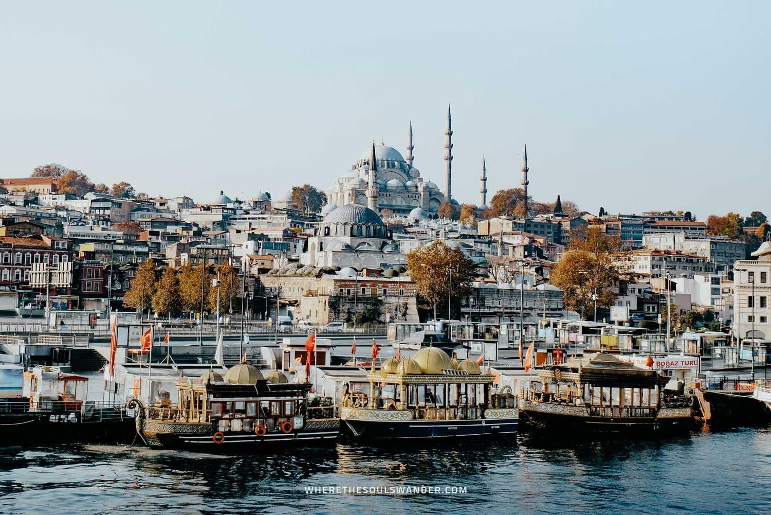 Bosphorus Cruise | Things to do in Istanbul