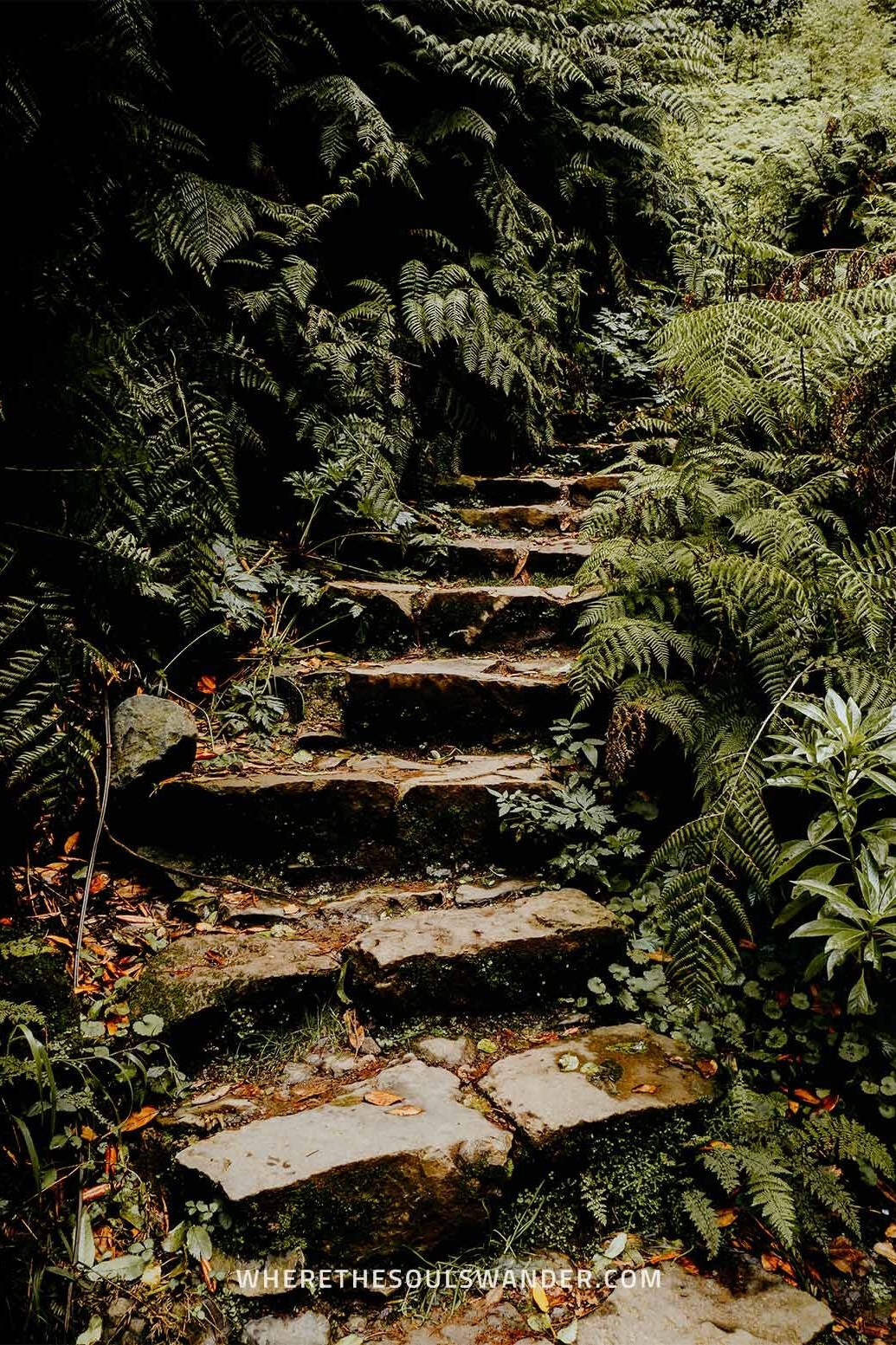 Caldeirao Verde hike Madeira