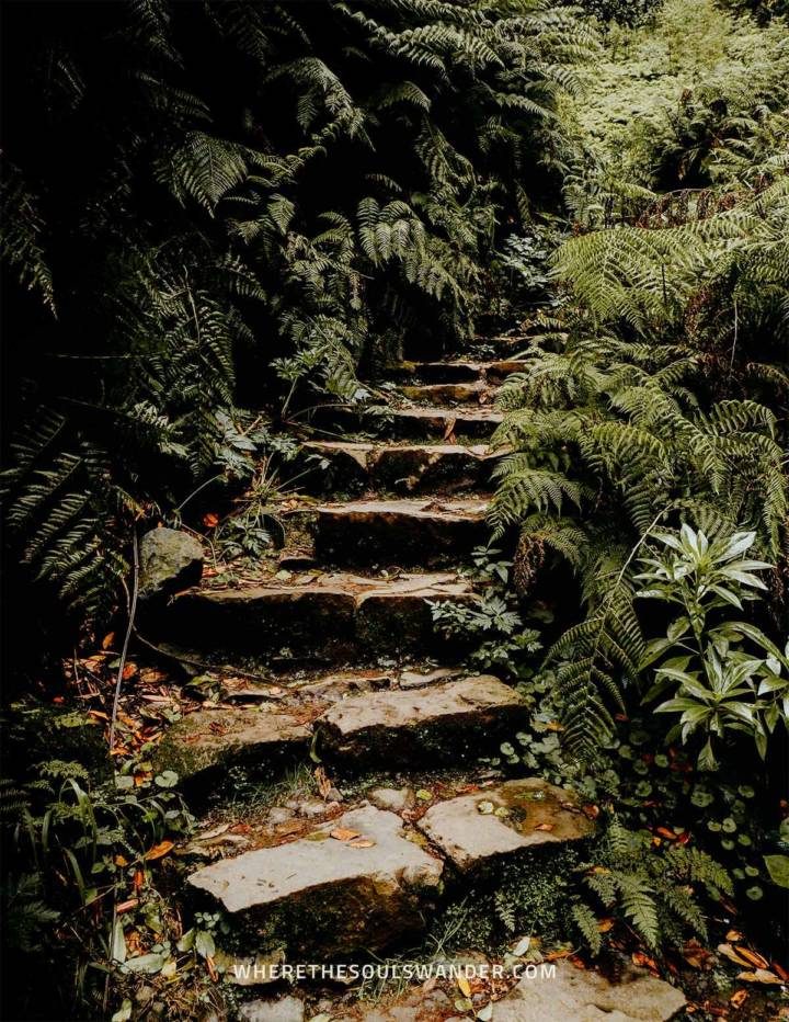 A guide to Levada do Caldeirão Verde, the PR9 hike on Madeira | Where ...