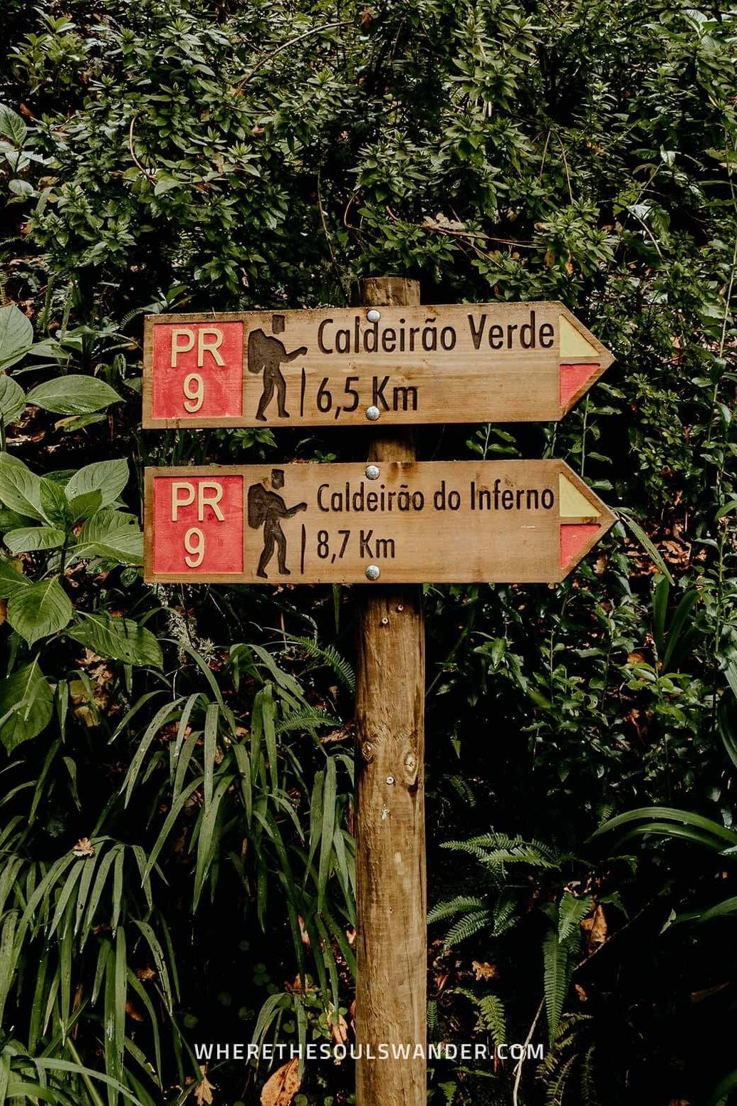 Levada Caldeirao Verde Madeira