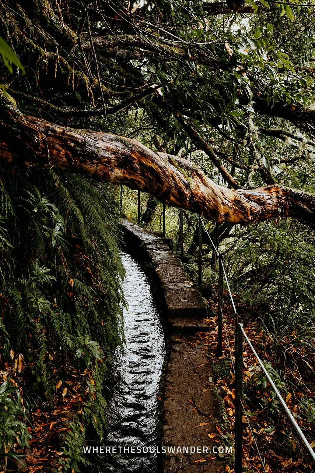 Levada do Caldeirao Verde PR9 hike