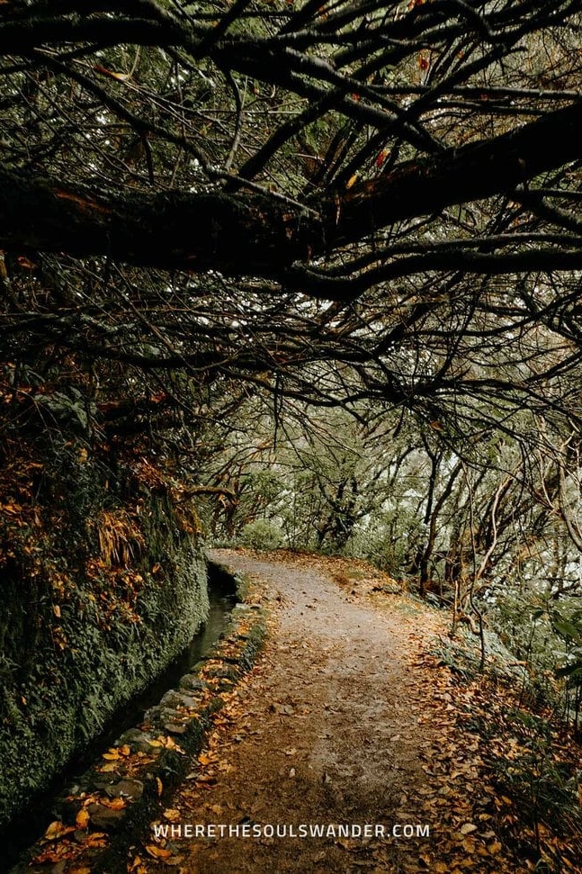 Levada walks Madeira