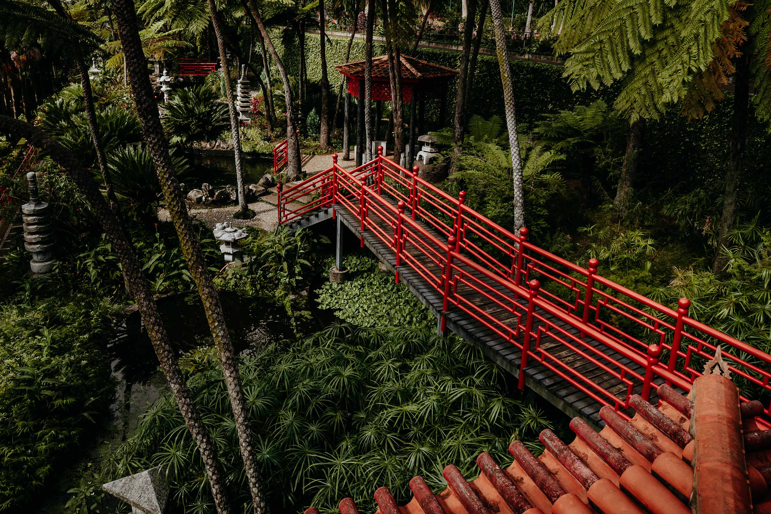 Things to do in Funchal, Madeira