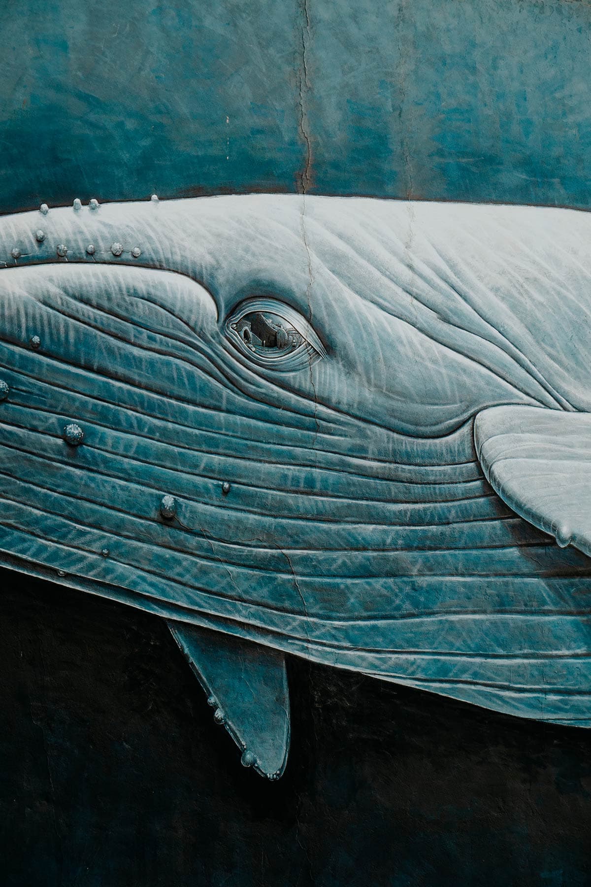 Grafitti | Things to do in Funchal, Madeira