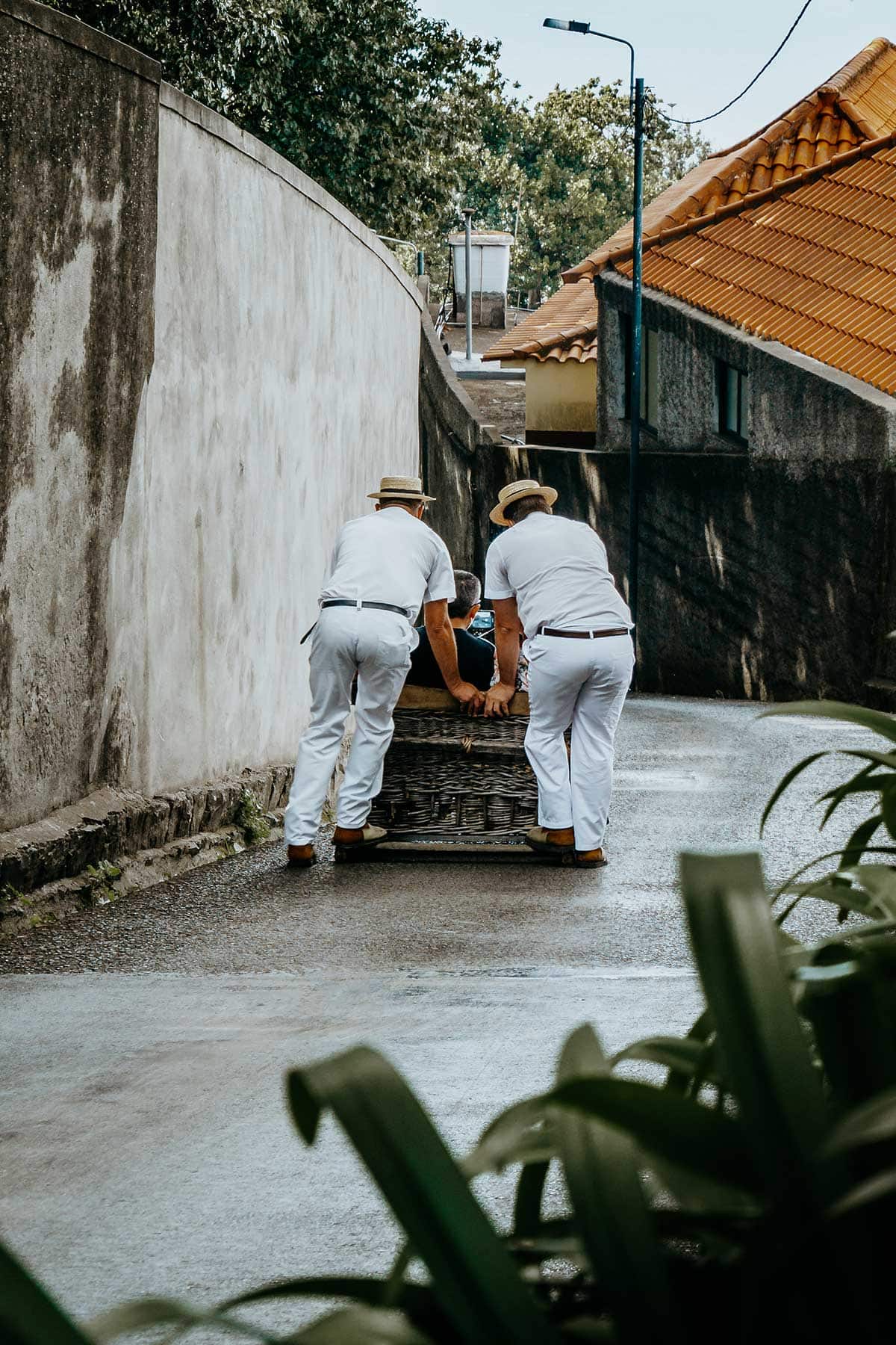 Things to do in Funchal | Toboggan ride