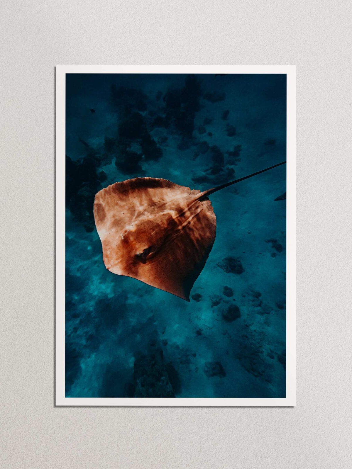 Majestic Maldives | Print Store Where the Souls Wander