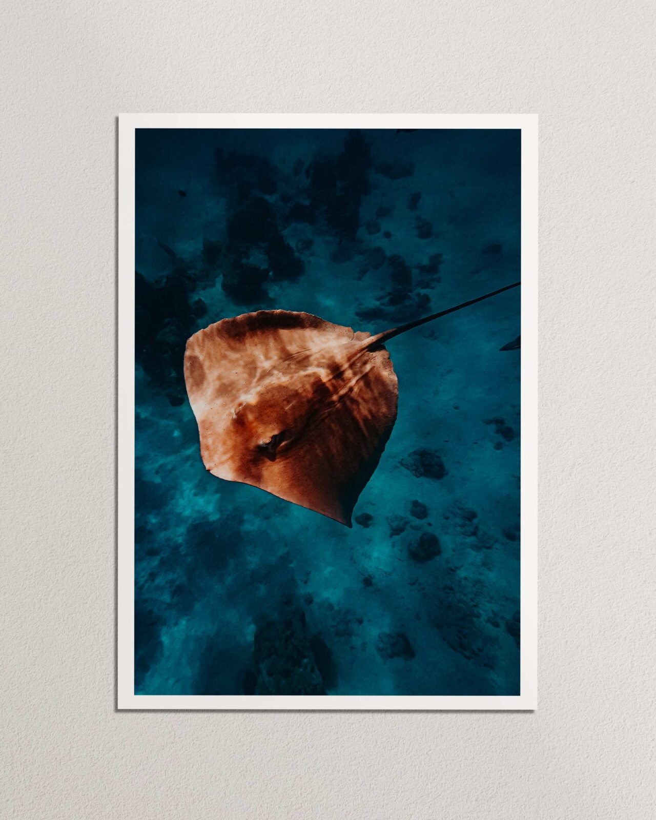 Majestic Maldives | Print Store Where the Souls Wander