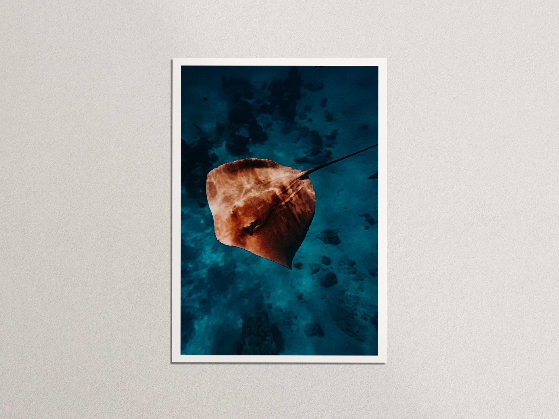 Majestic Maldives | Print Store Where the Souls Wander