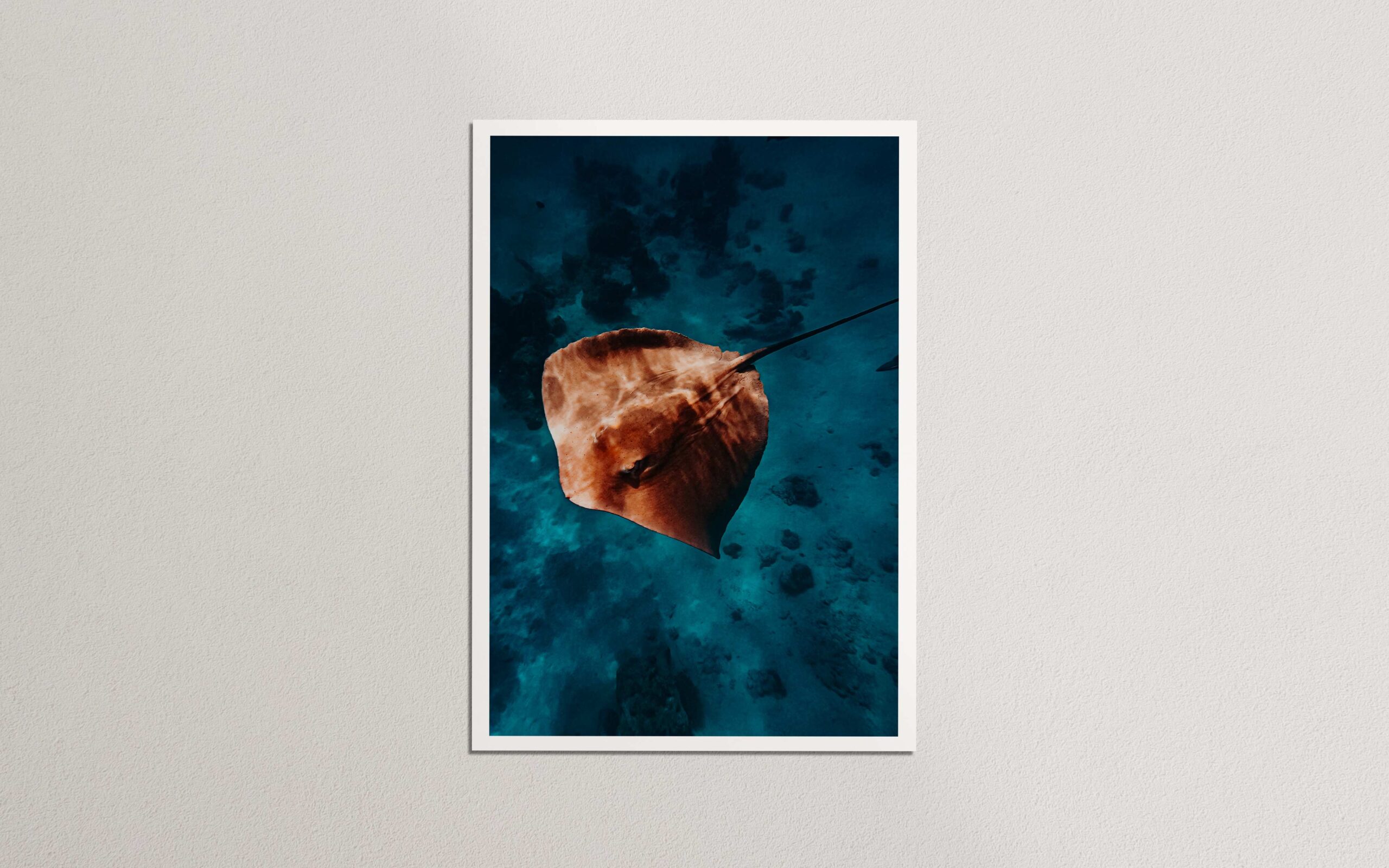 Majestic Maldives | Print Store Where the Souls Wander