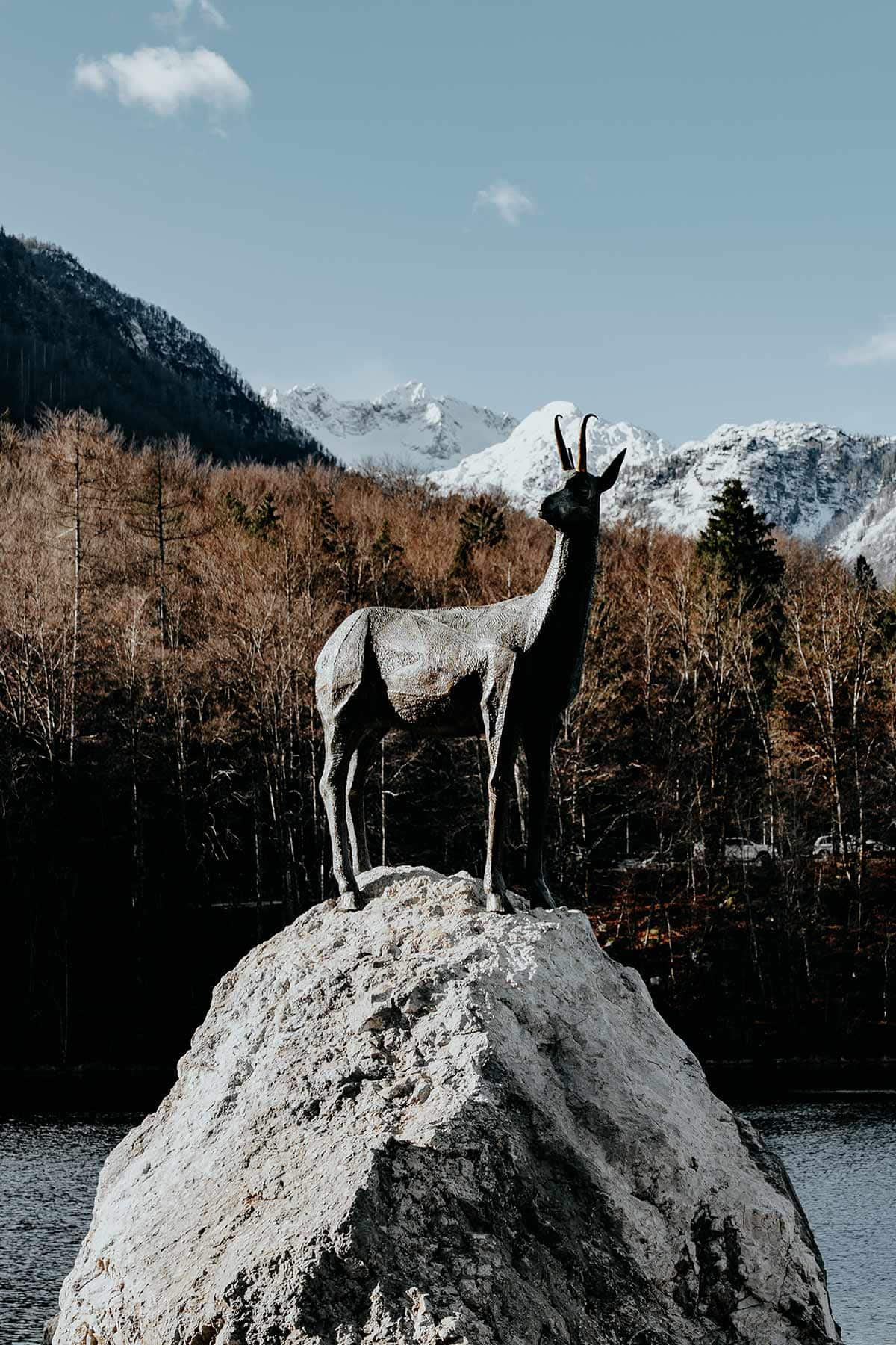 Lake Bohinj