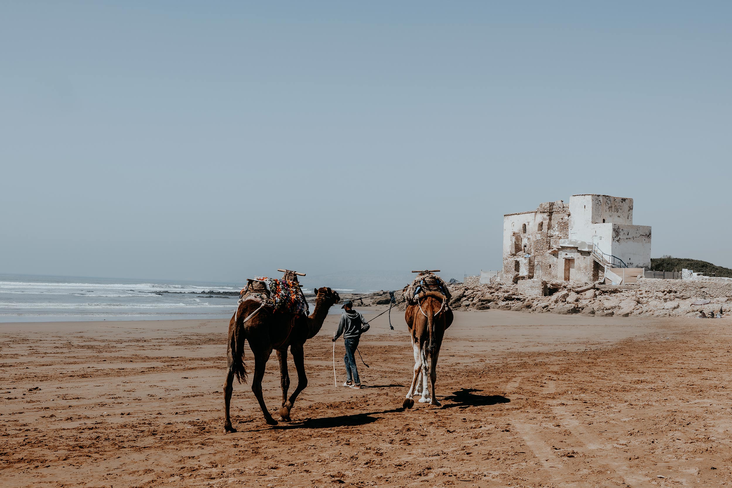 Sidi Kouki | Things to do in Essaouira