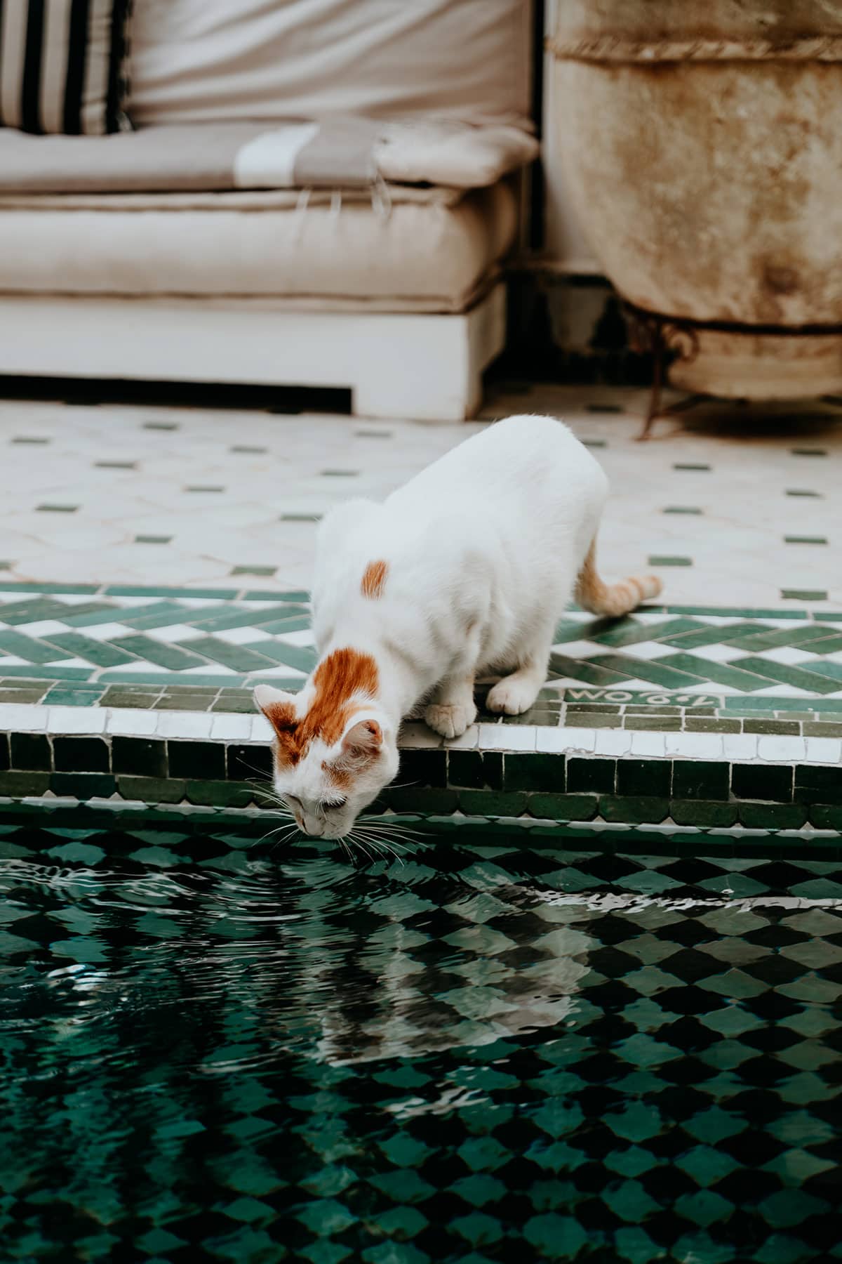 Riads in Marrakech in 2026