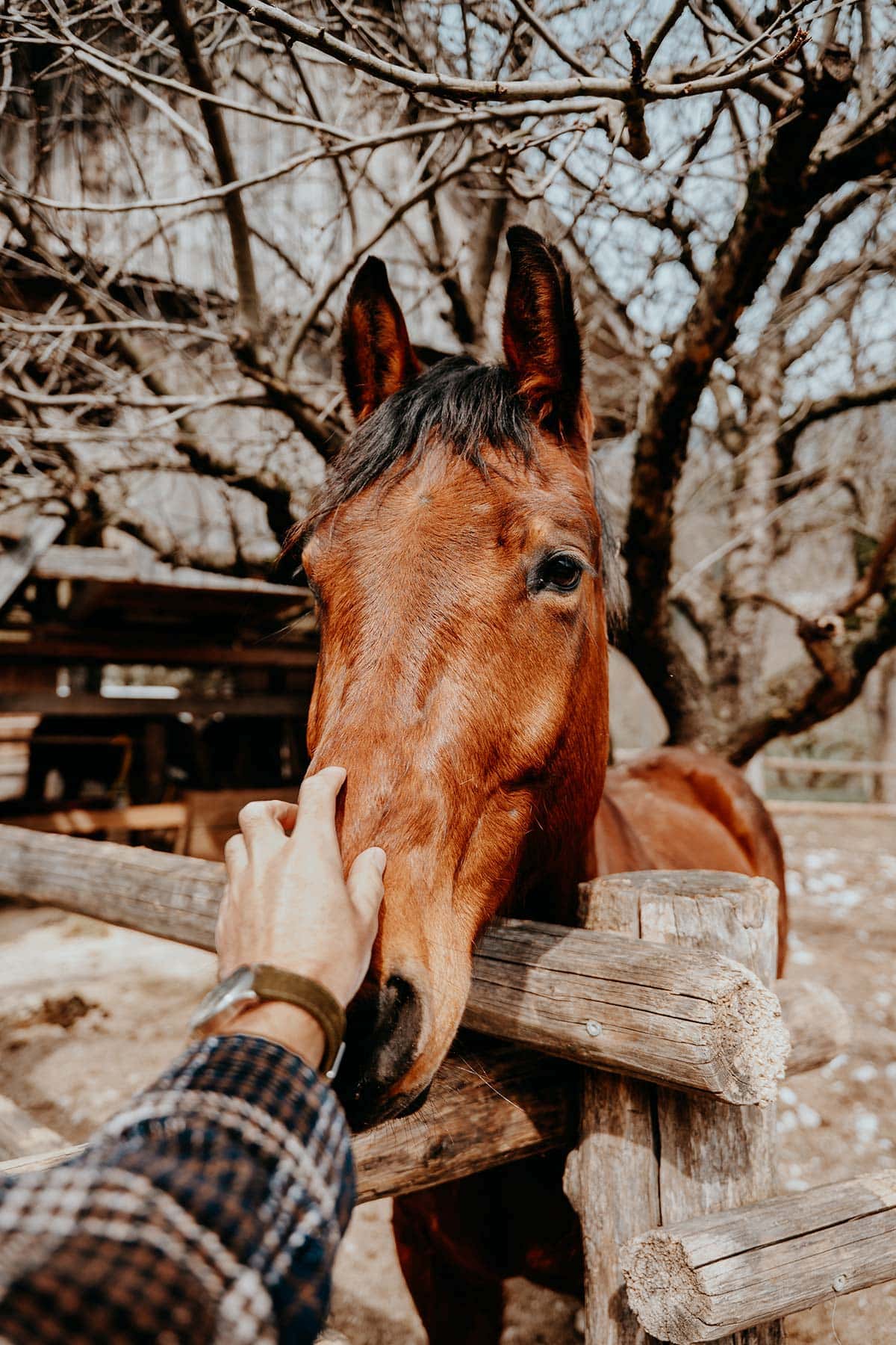 Best time to visit Slovenia