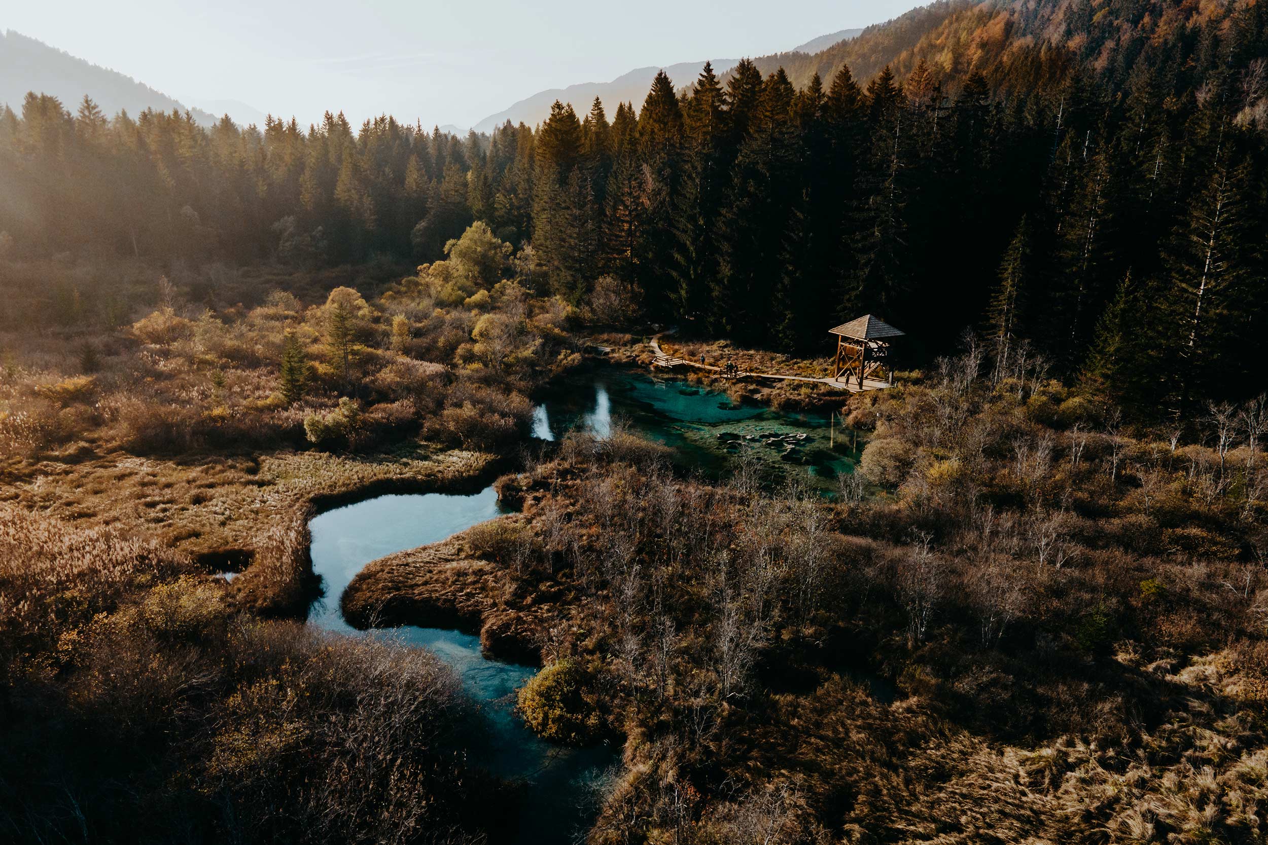 Zelenci Nature Reserve | Slovenia road trip itinerary