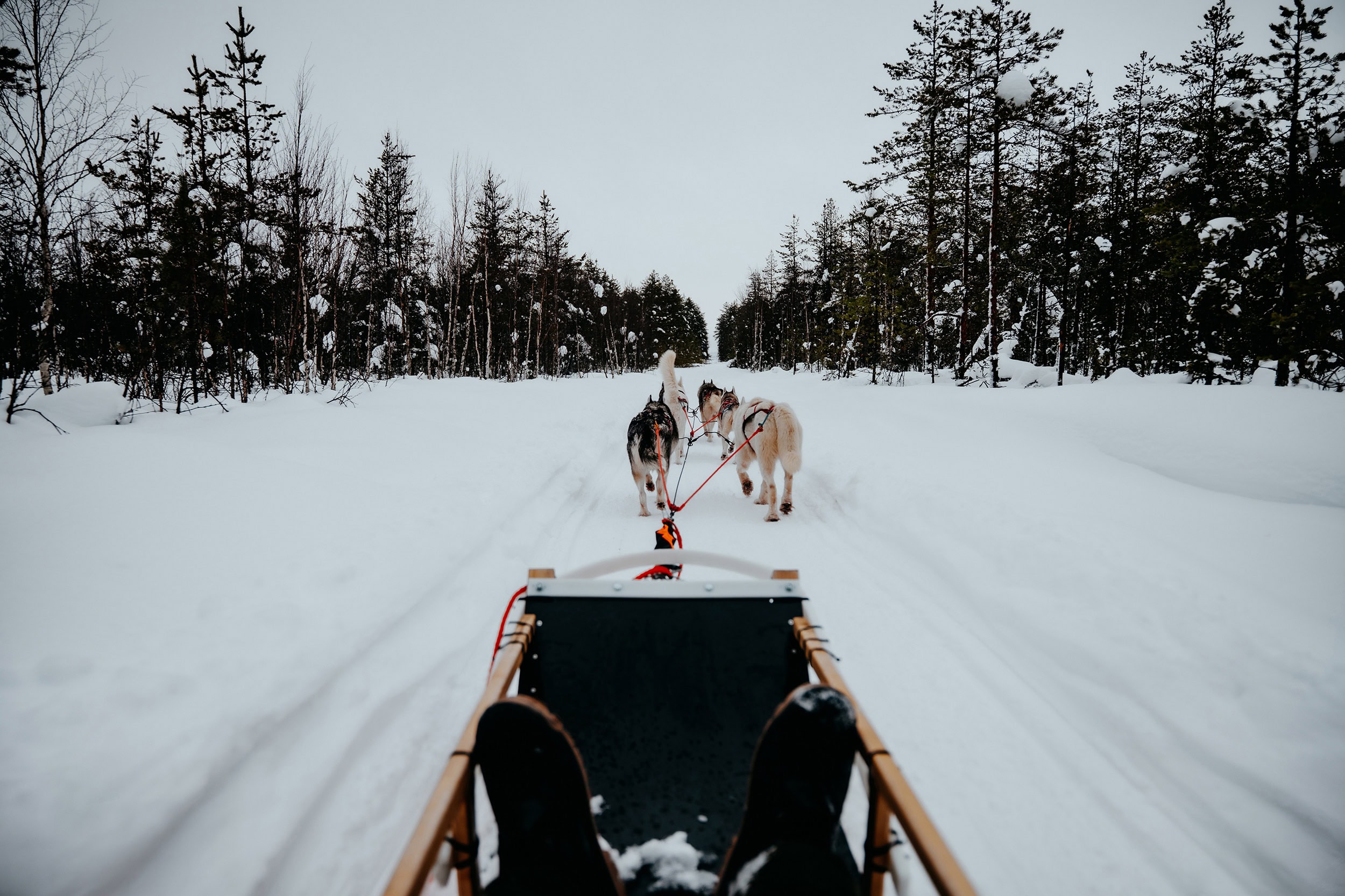 8 Incredible things to do in Lapland
