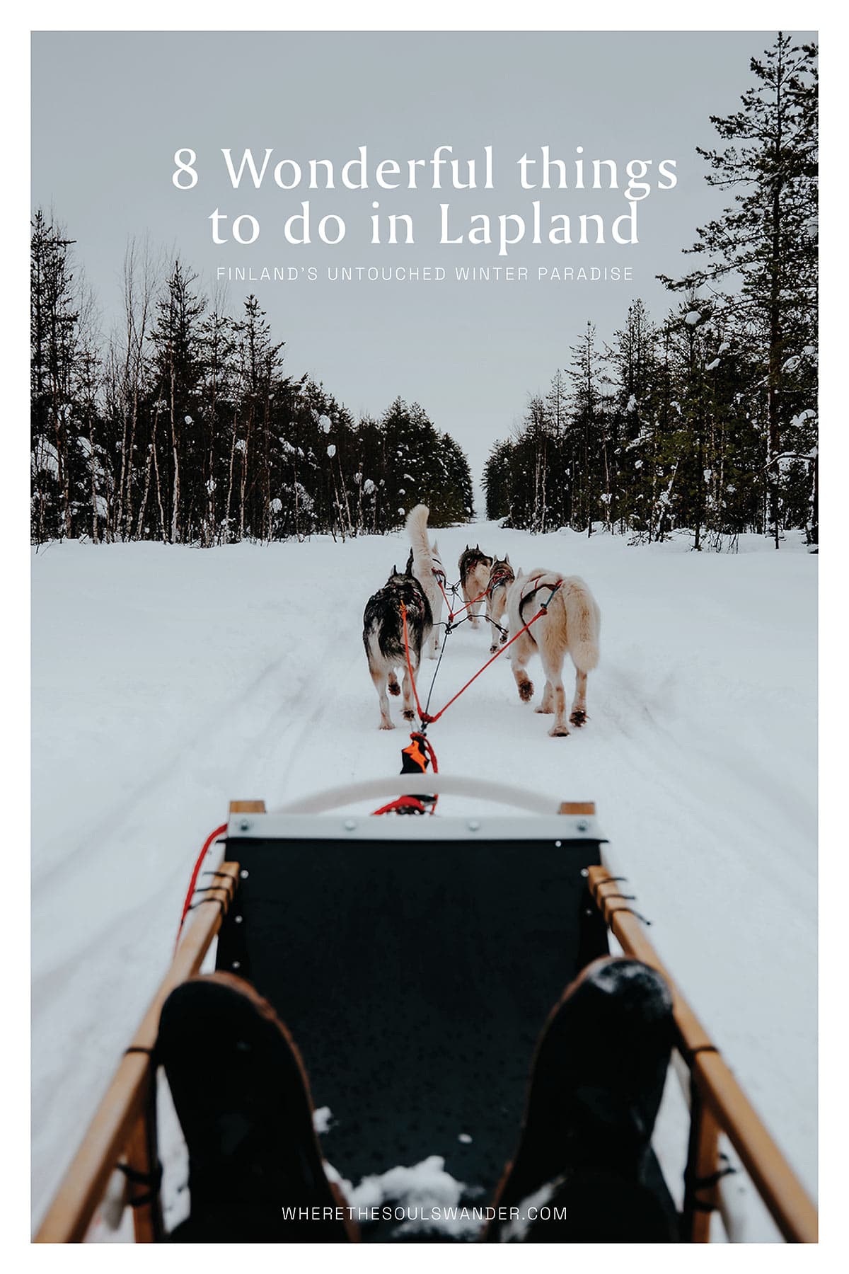 8 things to do in Lapland | Pinterest