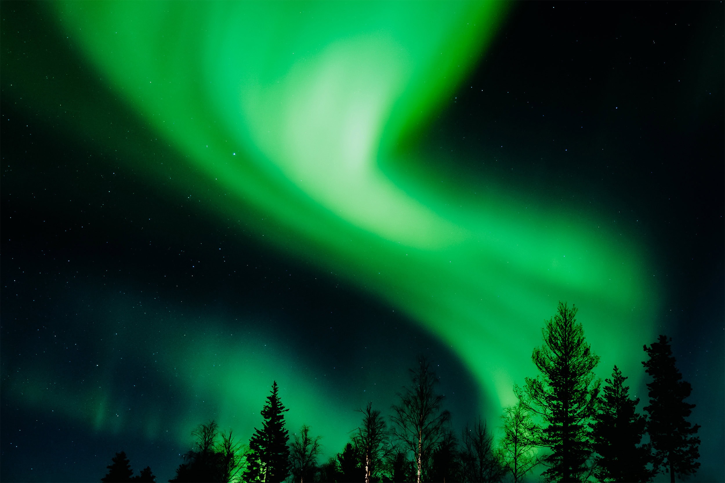 Northern Lights | Things to do in Lapland