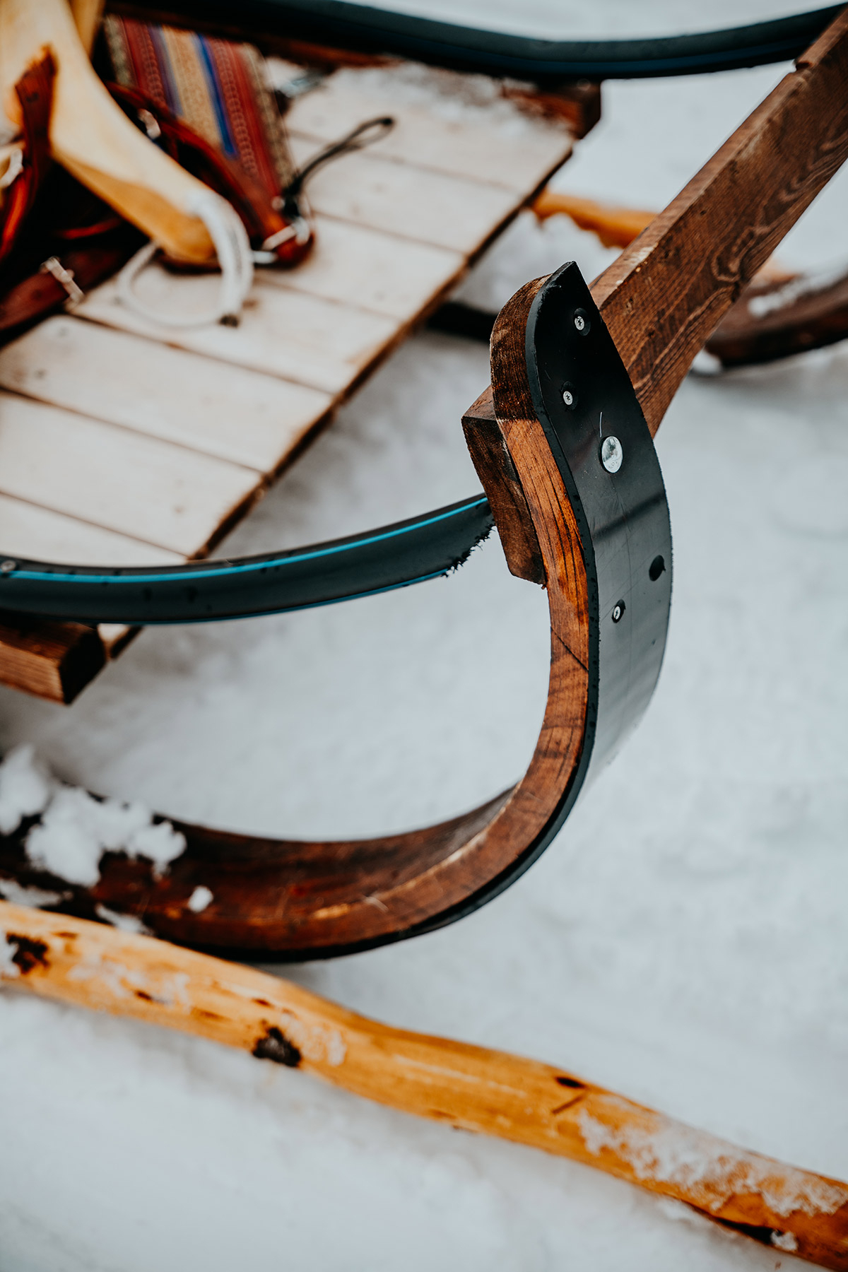 Reindeer tour | Things to do in Lapland