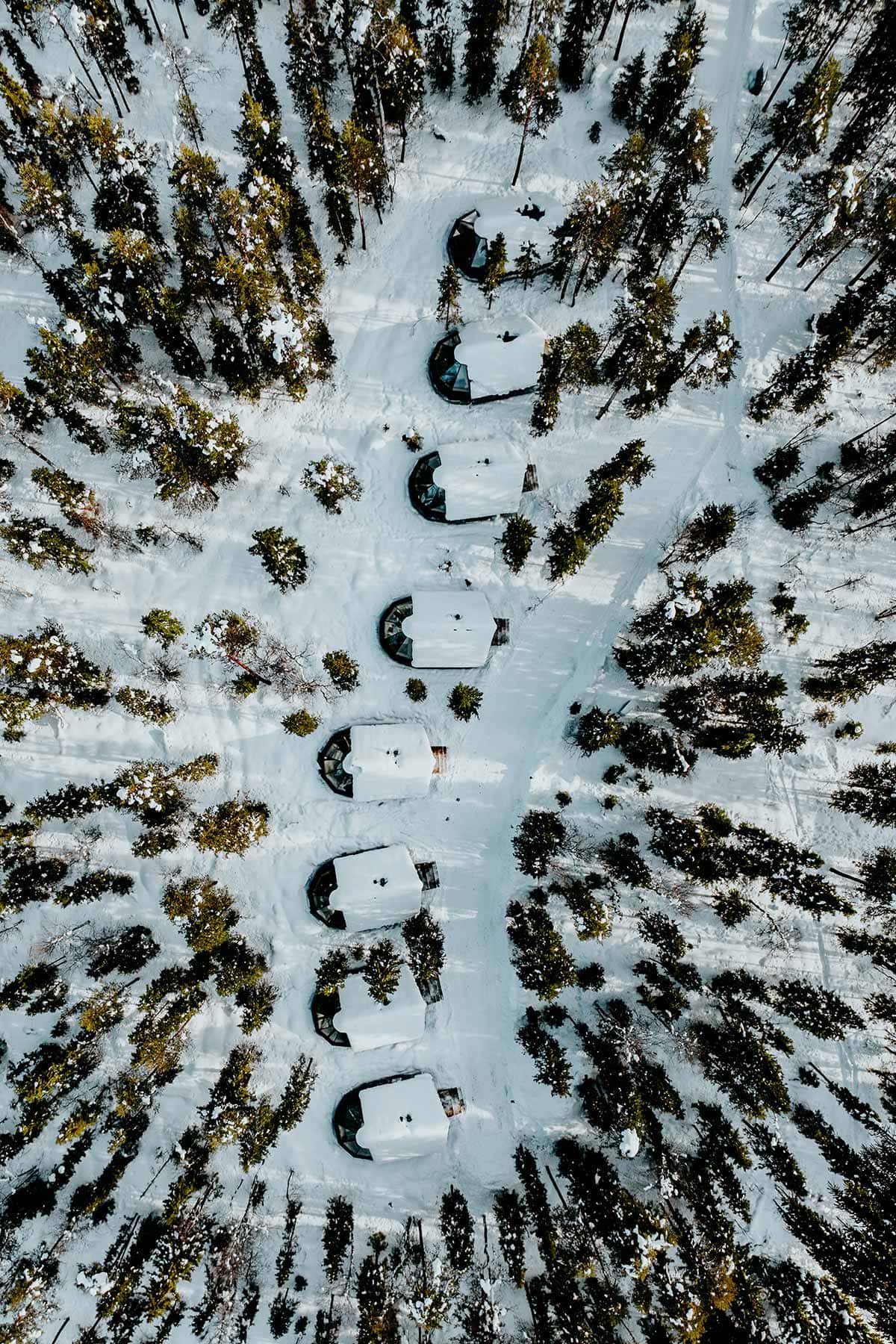 Vaattunki wilderness resort