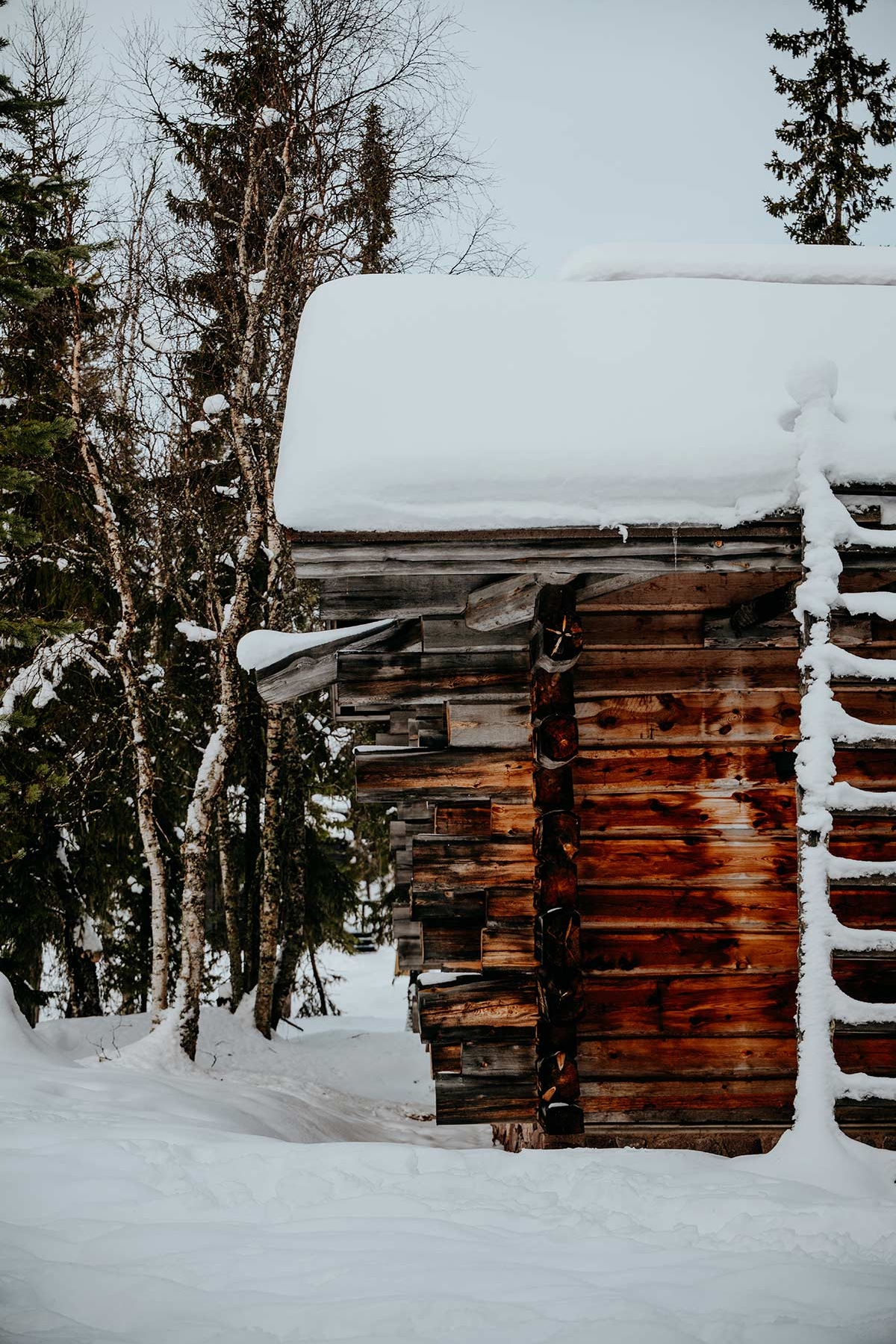 Hotels in Rovaniemi - cabin in the woods