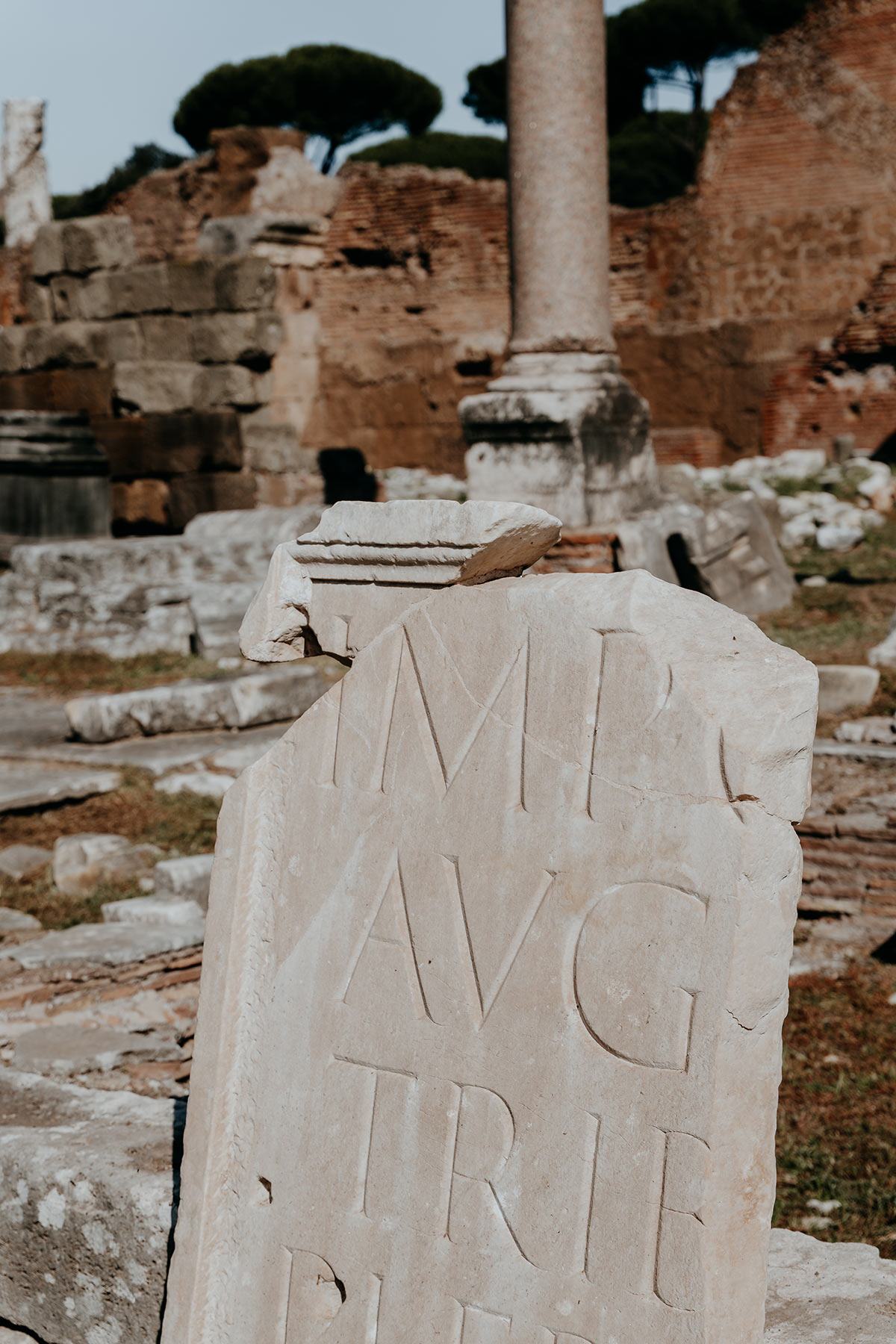 Roman Forum | Things to do